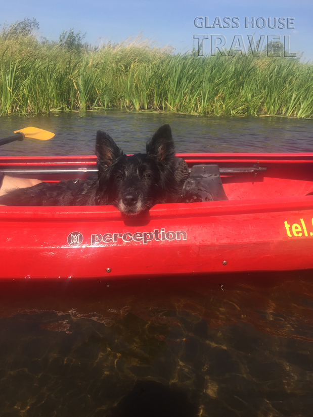 Spływ kajakowy Nidą - 017