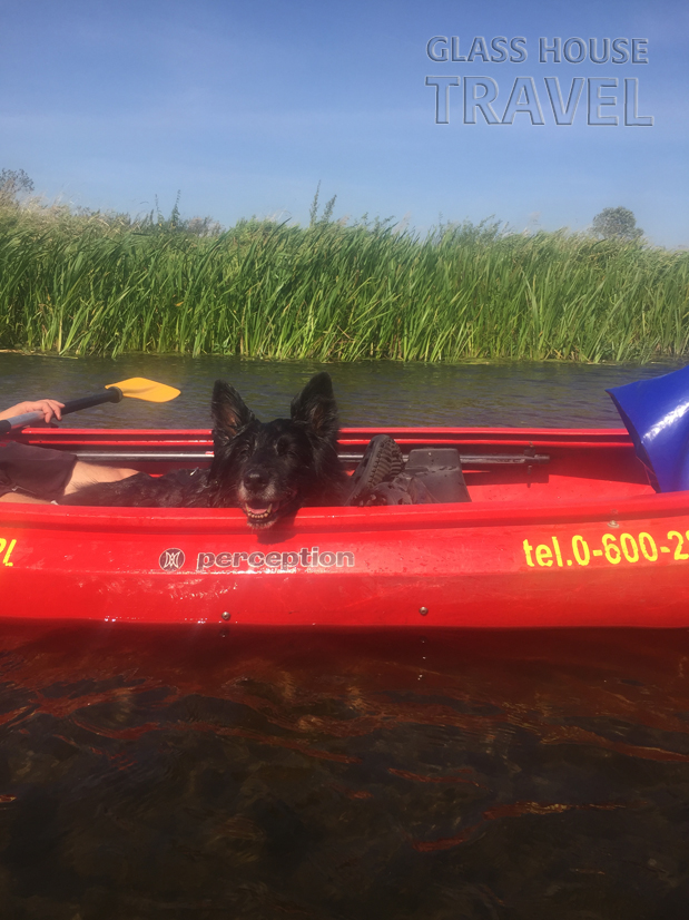 Spływ kajakowy Nidą - 018