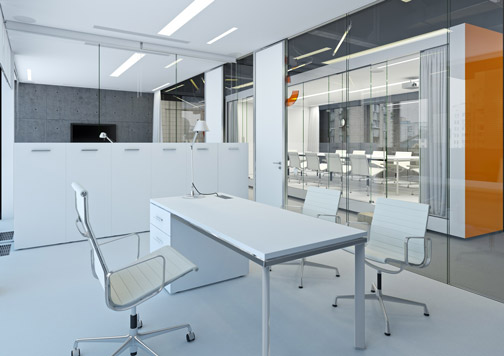 Frameless glass partitions in office