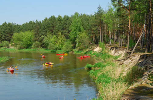 Leśny odcinek spływu
